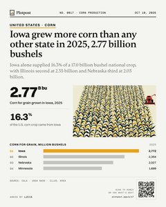 Thumbnail: Iowa grew more corn than any other state in 2025, 2.77 billion bushels