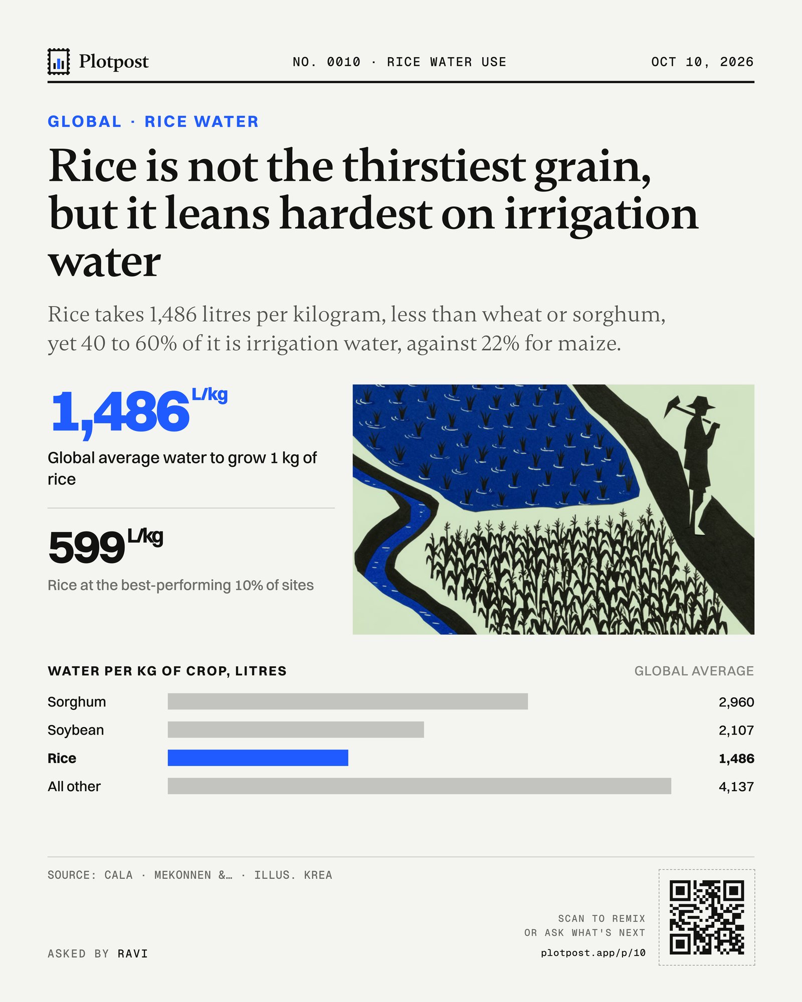 Rice is not the thirstiest grain, but it leans hardest on irrigation water