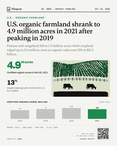 Thumbnail: U.S. organic farmland shrank to 4.9 million acres in 2021 after peaking in 2019