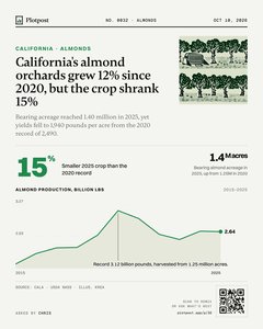 Thumbnail: California's almond orchards grew 12% since 2020, but the crop shrank 15%
