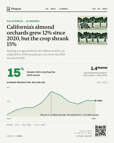 California's almond orchards grew 12% since 2020, but the crop shrank 15%
