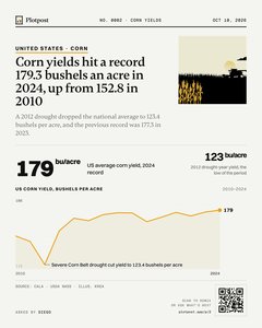 Thumbnail: Corn yields hit a record 179.3 bushels an acre in 2024, up from 152.8 in 2010